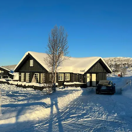 Hébergement de vacances Family By The Trails In Rauland *