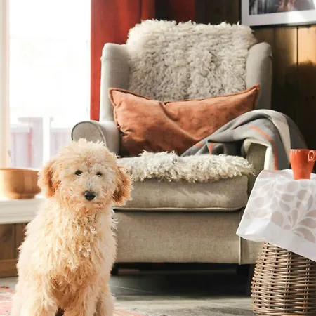 Family By The Trails In Rauland