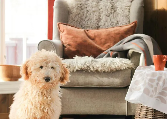 Family By The Trails In Rauland